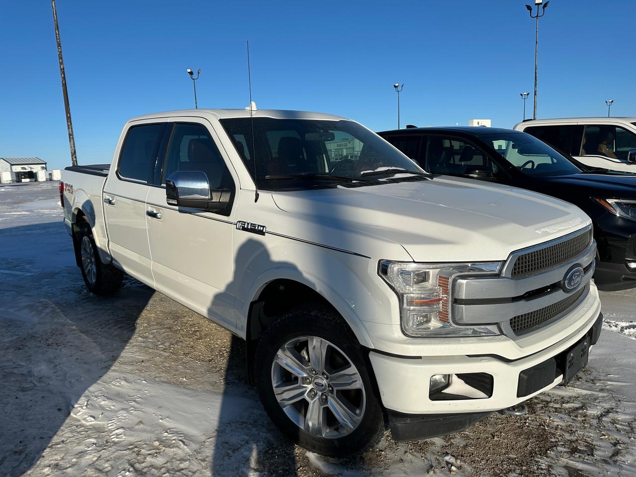 2020 Ford F-150 Platinum Photo