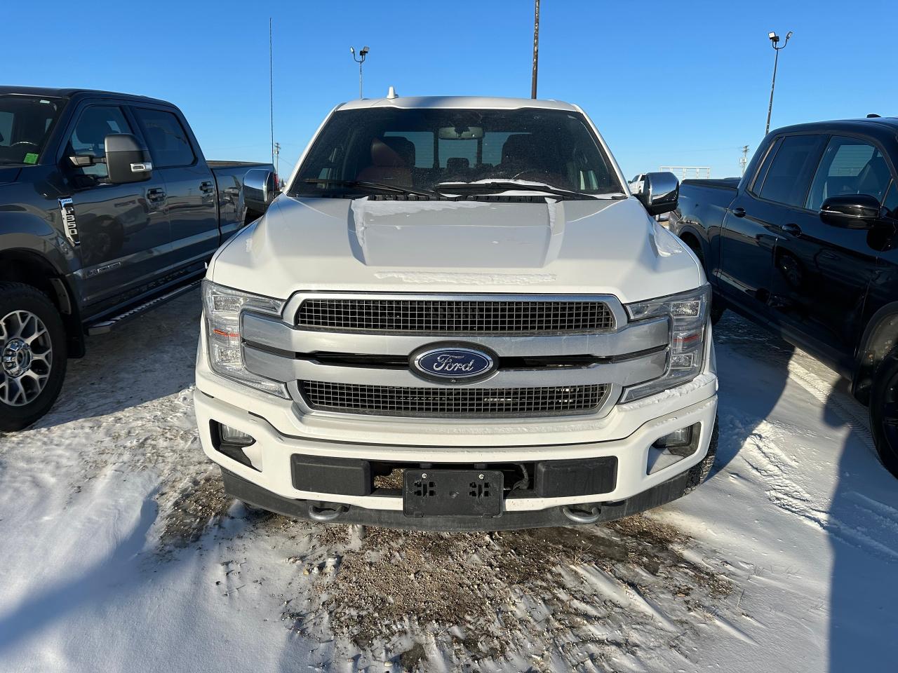2020 Ford F-150 Platinum Photo