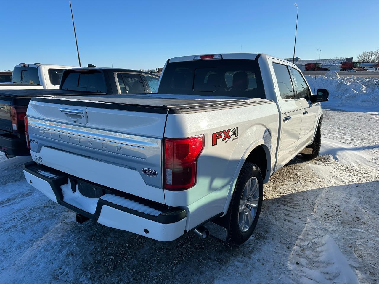 2020 Ford F-150 Platinum Photo4