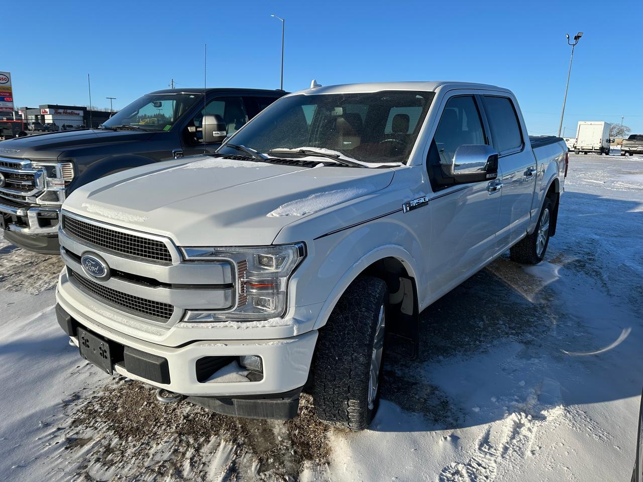 Used 2020 Ford F-150 Platinum for sale in Elie, MB