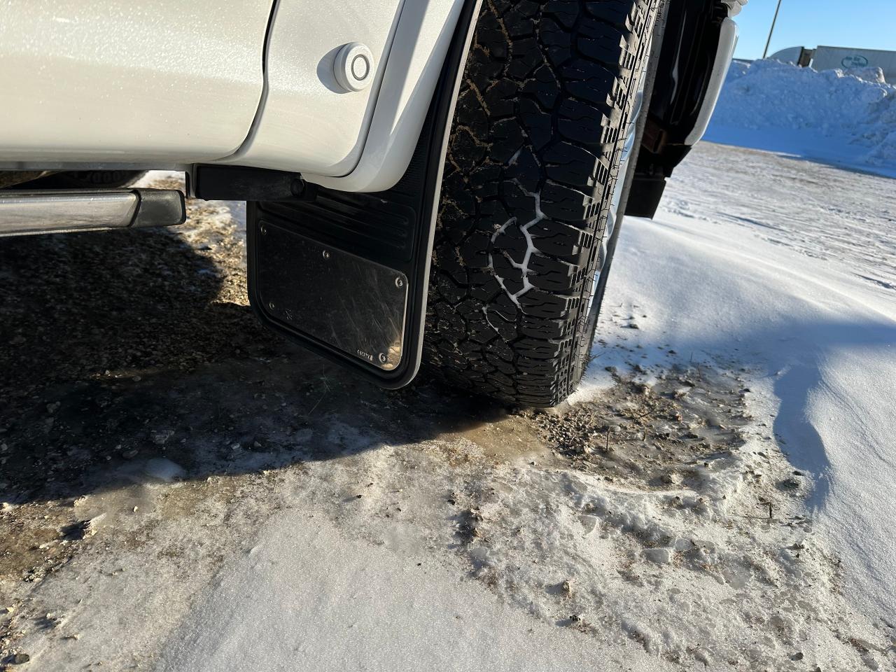 2020 Ford F-150 Platinum Photo3