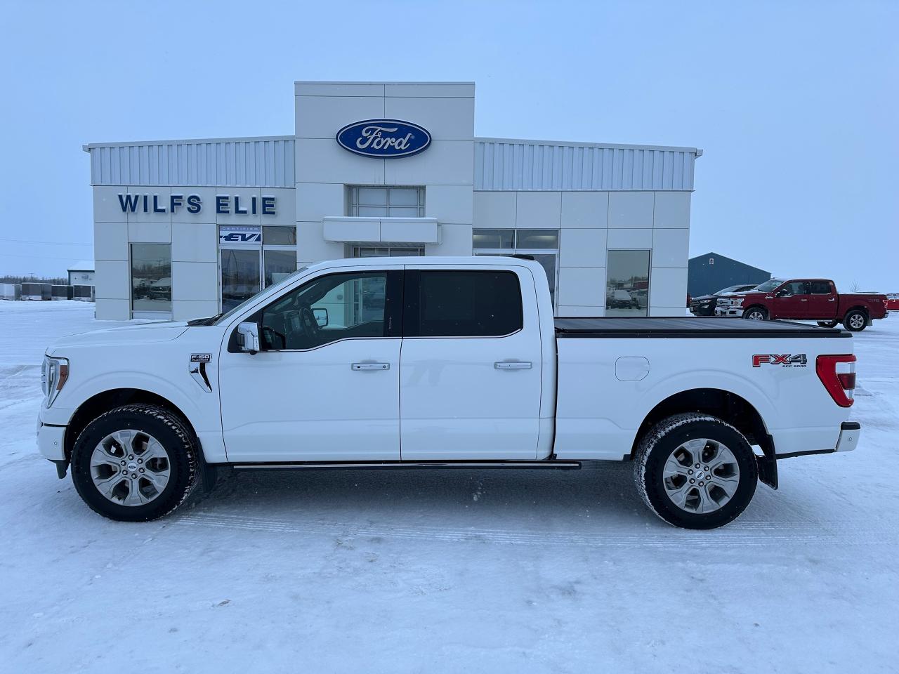 2021 Ford F-150 Platinum Photo