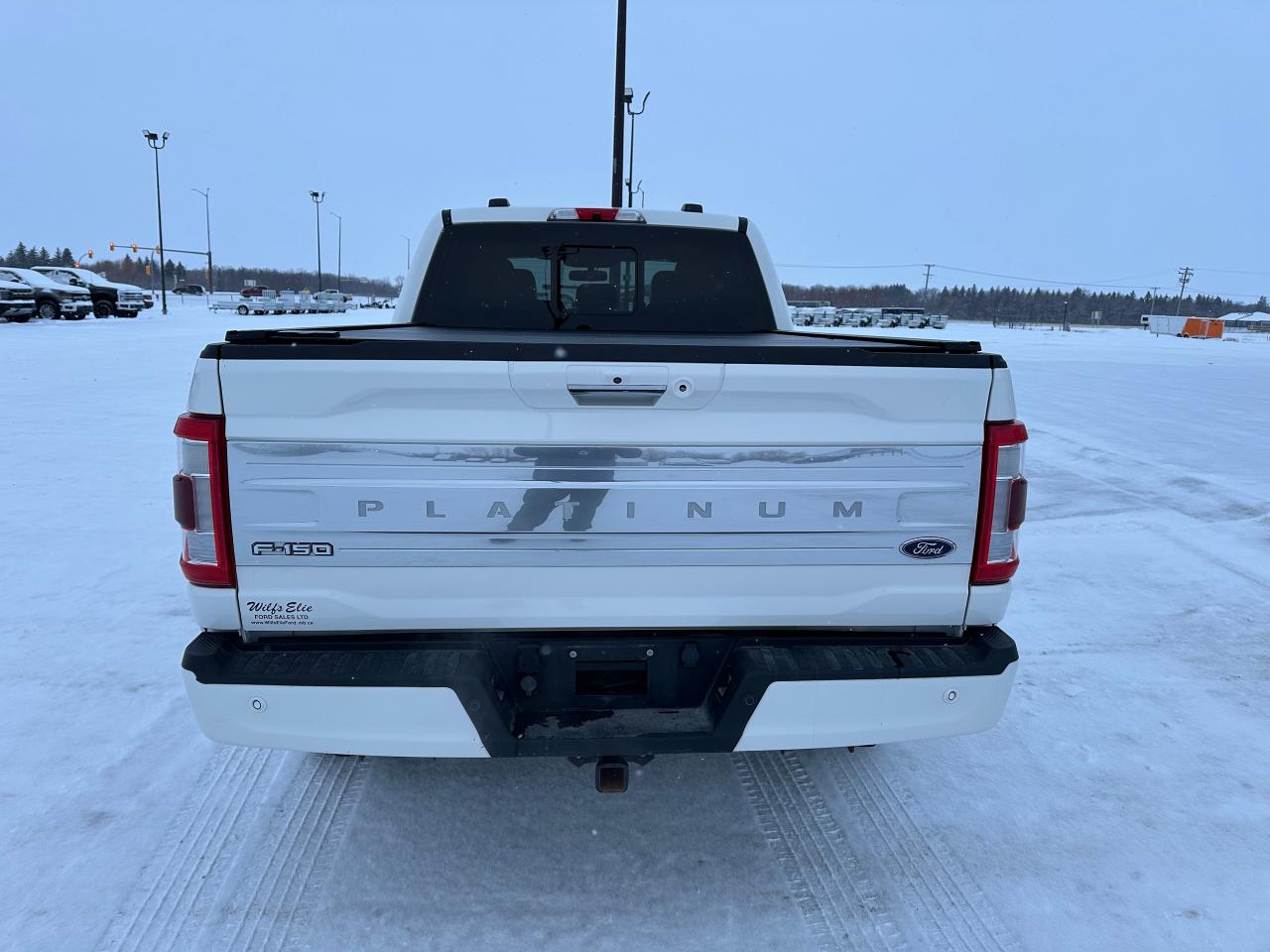 2021 Ford F-150 Platinum Photo3