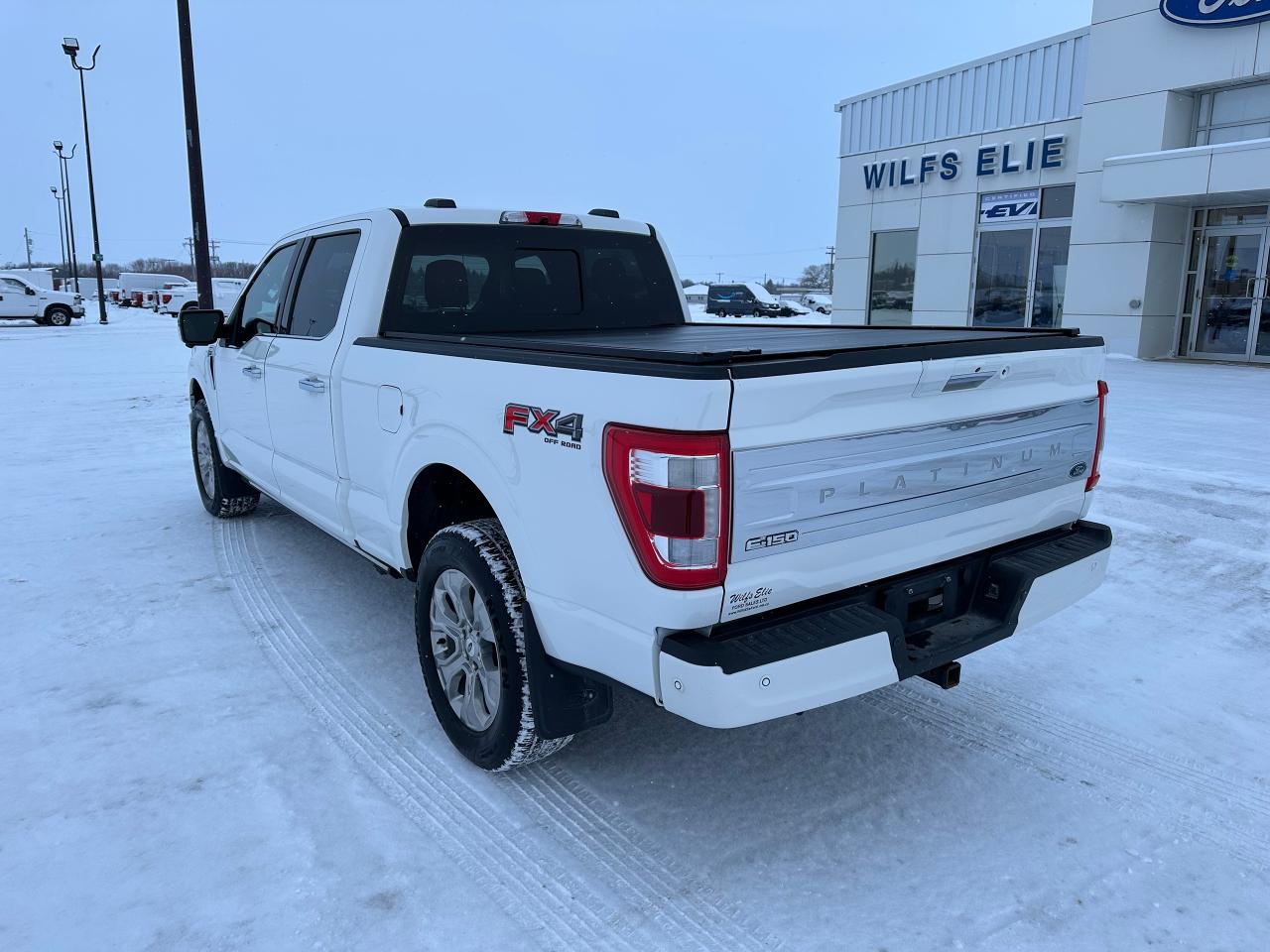 2021 Ford F-150 Platinum Photo2