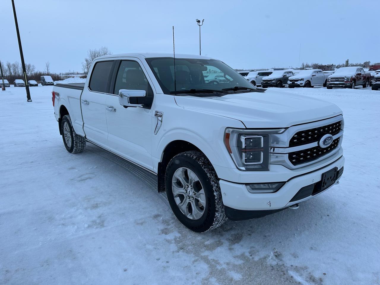 2021 Ford F-150 Platinum Photo5