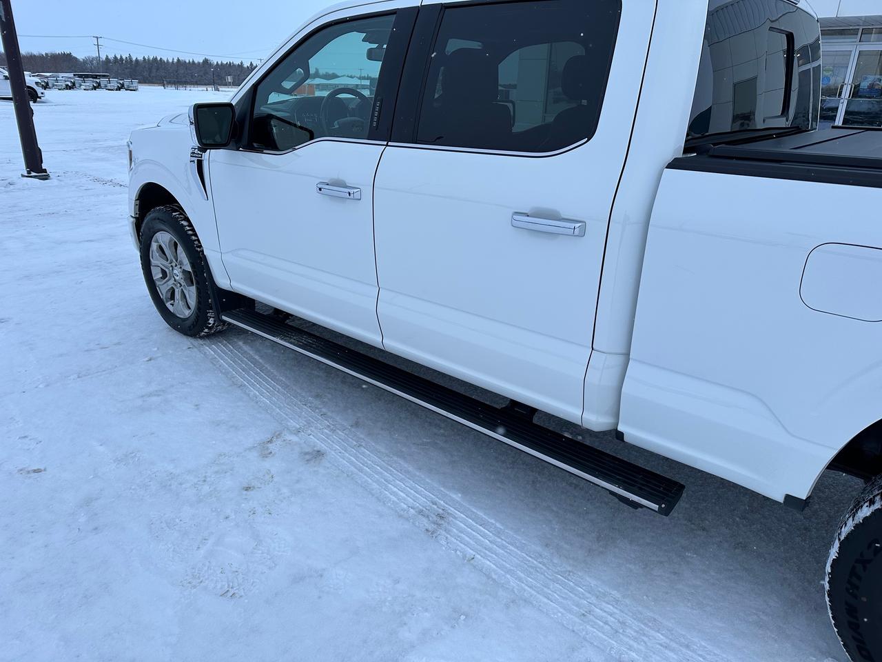 2021 Ford F-150 Platinum Photo5