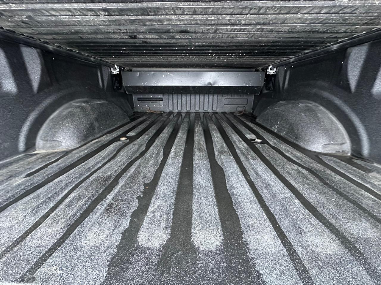 2021 Ford F-150 Platinum Photo4