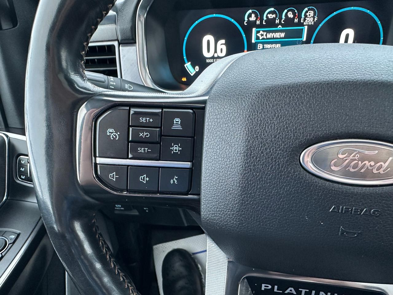 2021 Ford F-150 Platinum Photo5