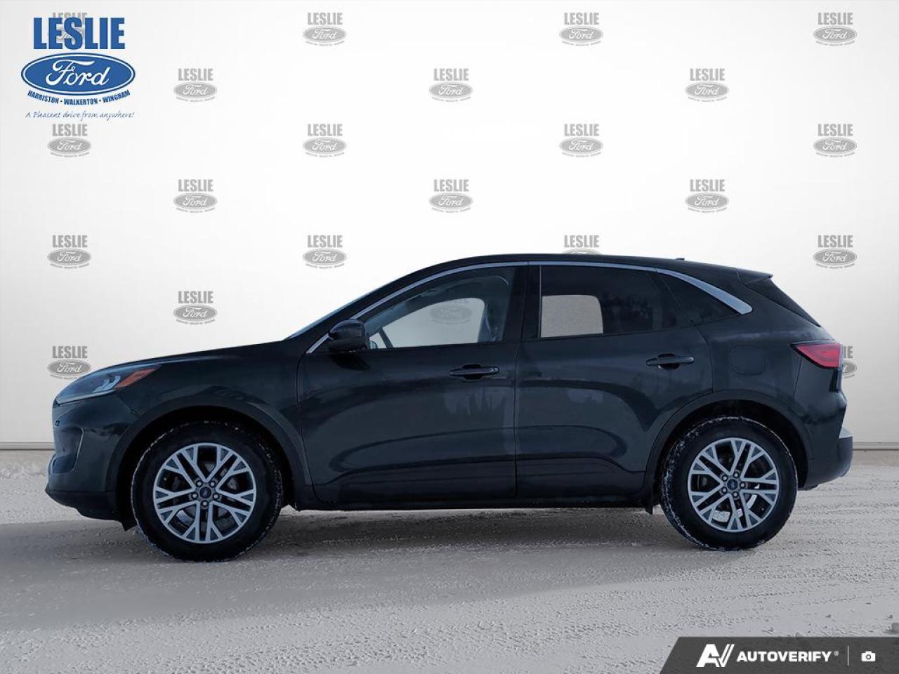 2022 Ford Escape SEL AWD Photo2