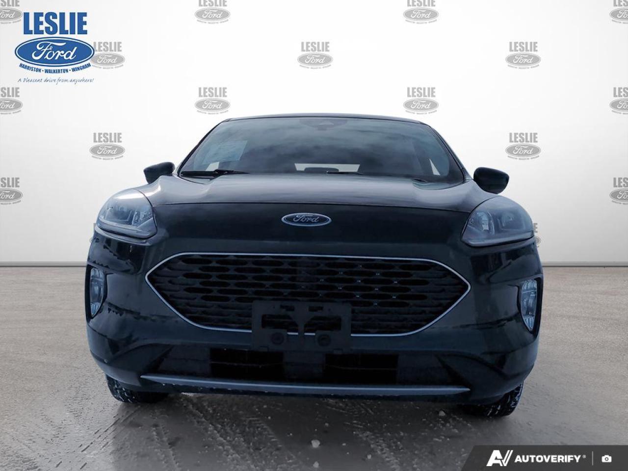 2022 Ford Escape SEL AWD Photo1
