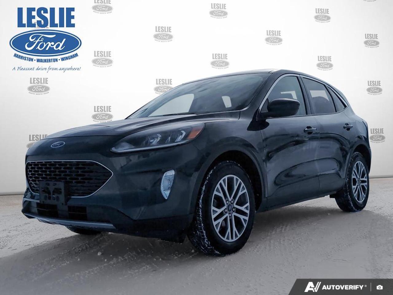 2022 Ford Escape SEL AWD Photo0