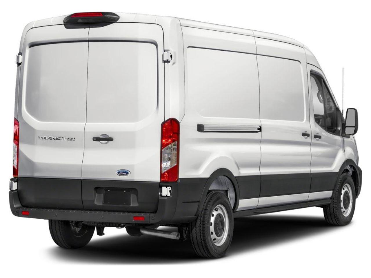 2024 Ford Transit 250  Photo