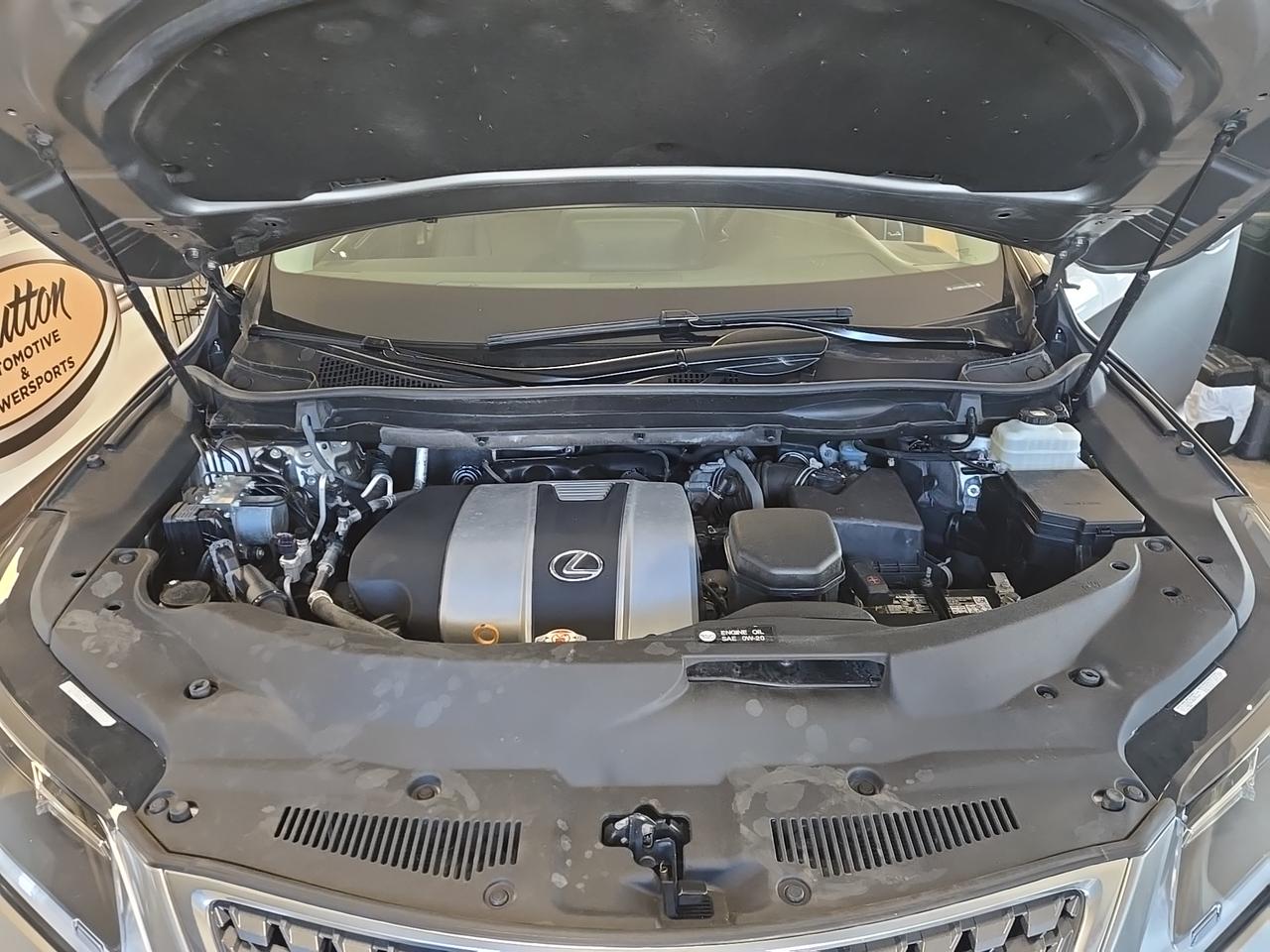 2022 Lexus RX 350  Photo