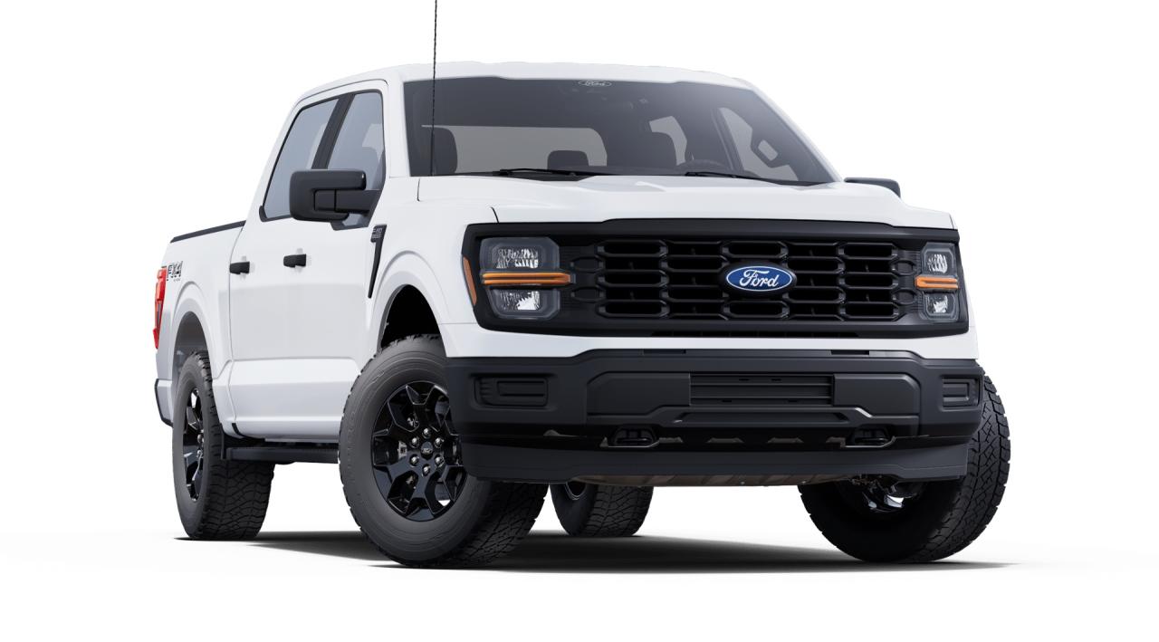 2025 Ford F-150 STX Photo3