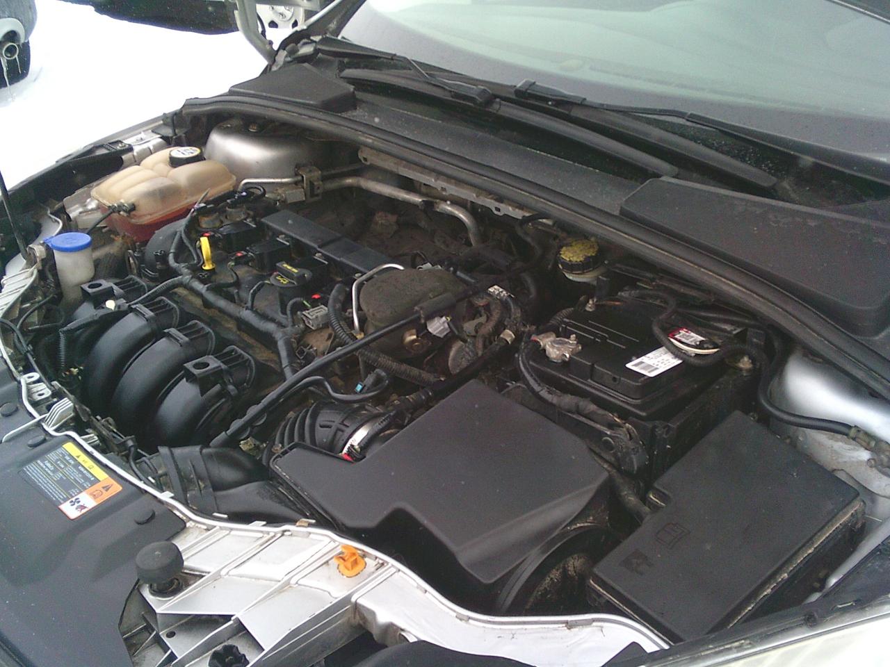 2013 Ford Focus 4DR SDN SE Photo