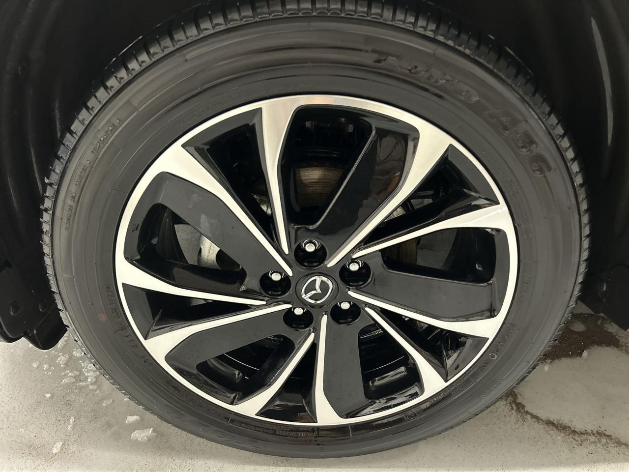 2023 Mazda CX-5 JUST LANDED Photo