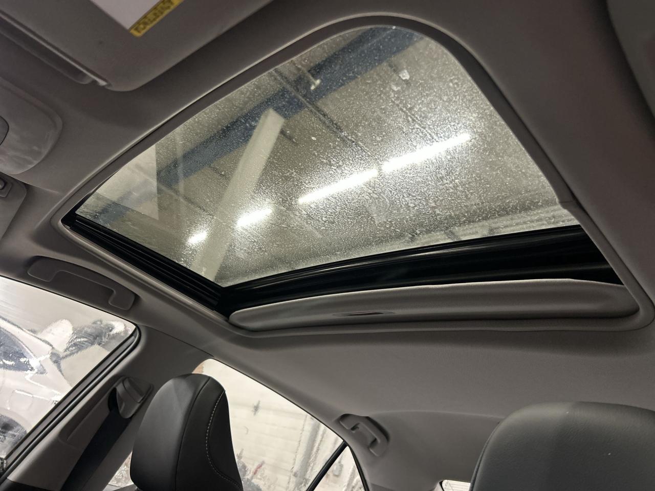 2021 Toyota Camry Hybrid Photo