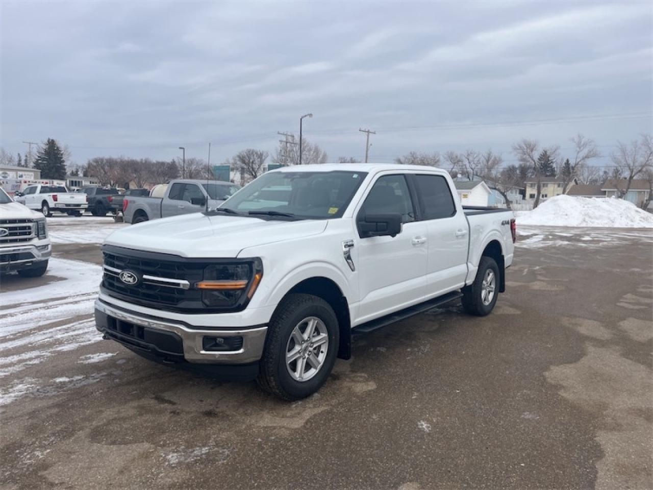 2026 Ford F-150 XLT  - Tow Package - Running Boards Photo5