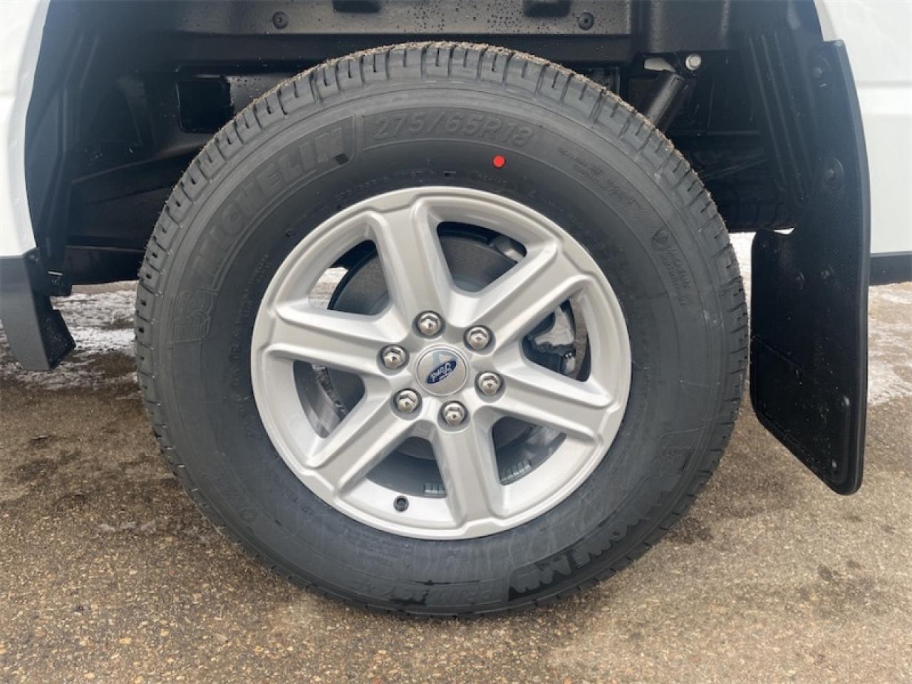 2026 Ford F-150 XLT  - Tow Package - Running Boards Photo5