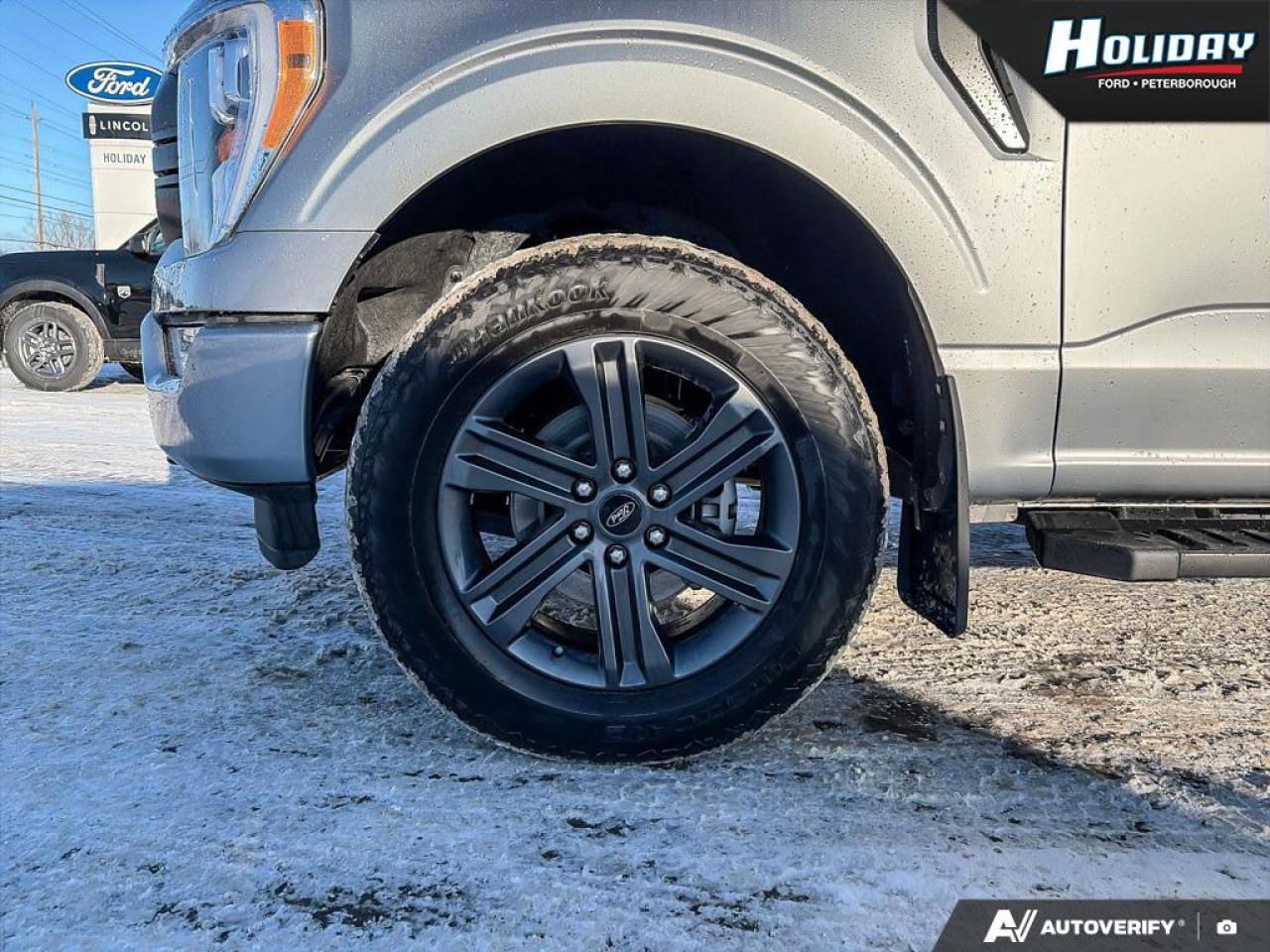 2023 Ford F-150 XLT Photo