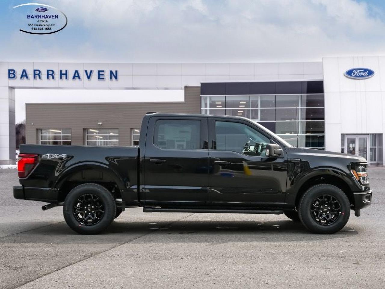 2025 Ford F-150 XLT Photo