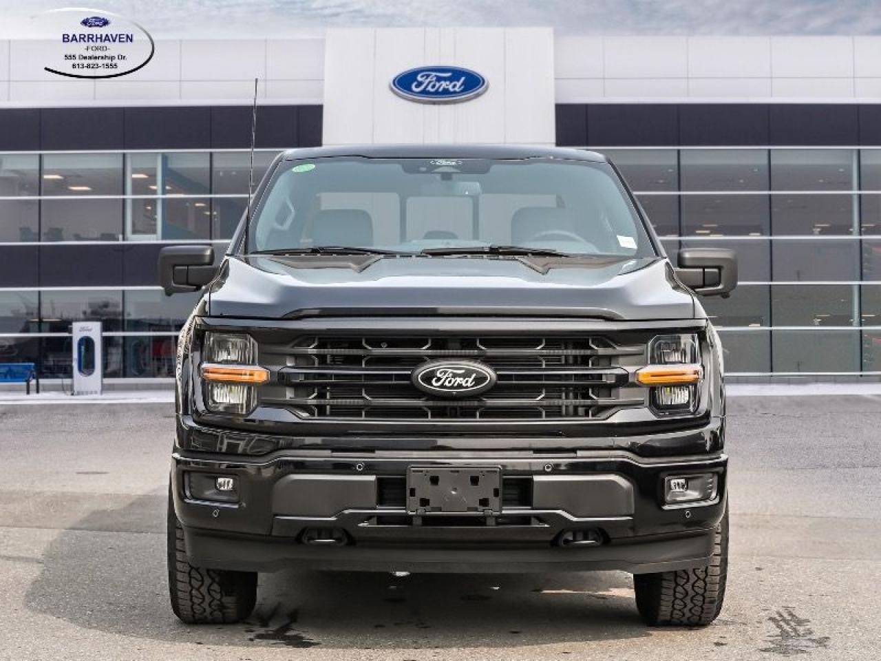 2025 Ford F-150 XLT Photo