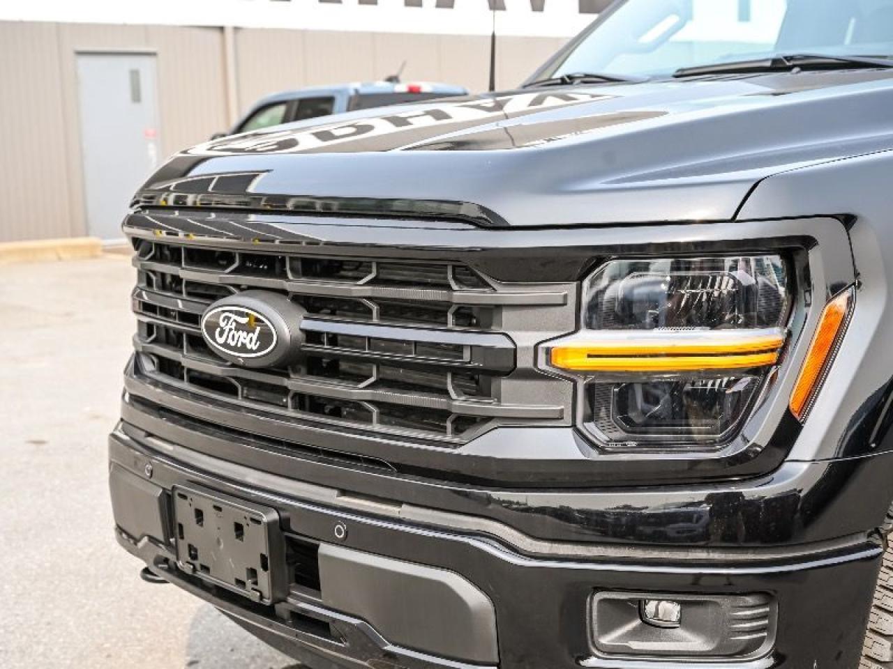 2025 Ford F-150 XLT Photo