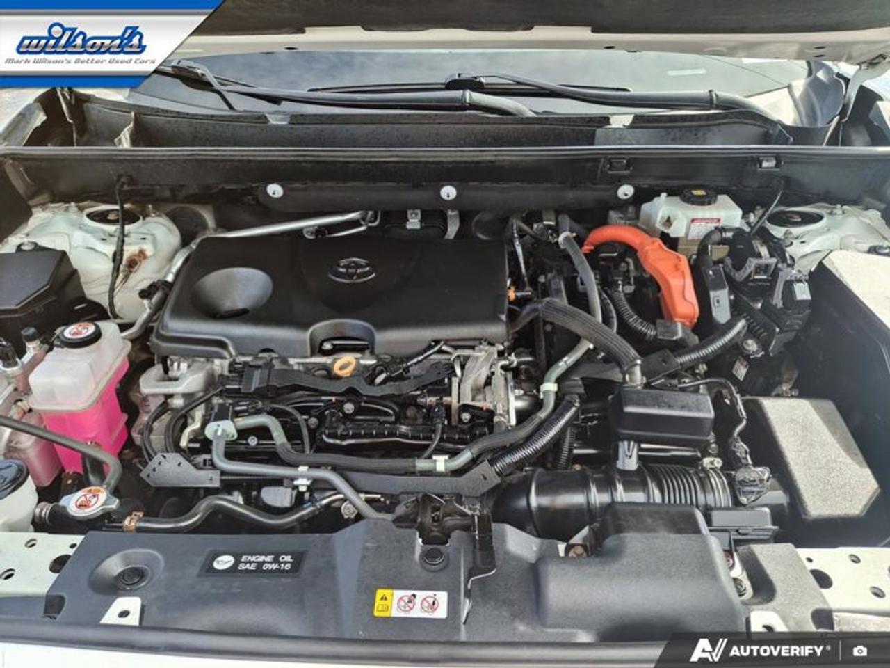 2019 Toyota RAV4 Hybrid XLE AWD | Sunroof | Radar Cruise | Heated Wheel + Seats | Power Seat | Power Liftgate & More! Photo