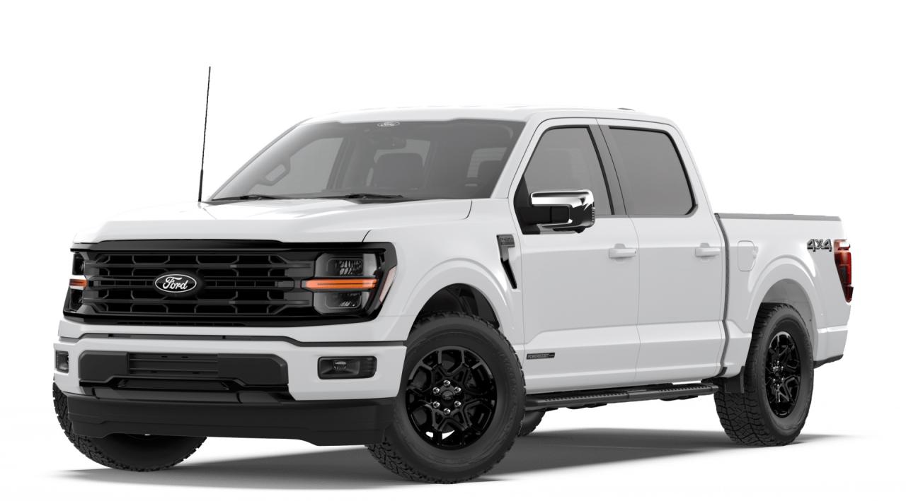 2026 Ford F-150 XLT Photo