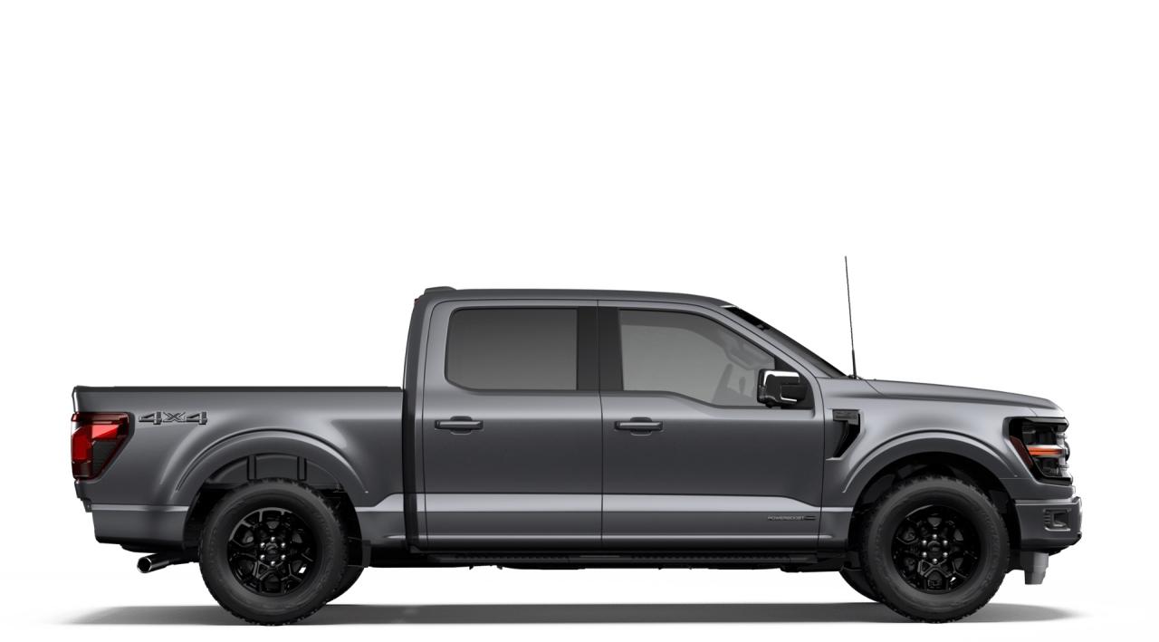2026 Ford F-150 XLT Photo