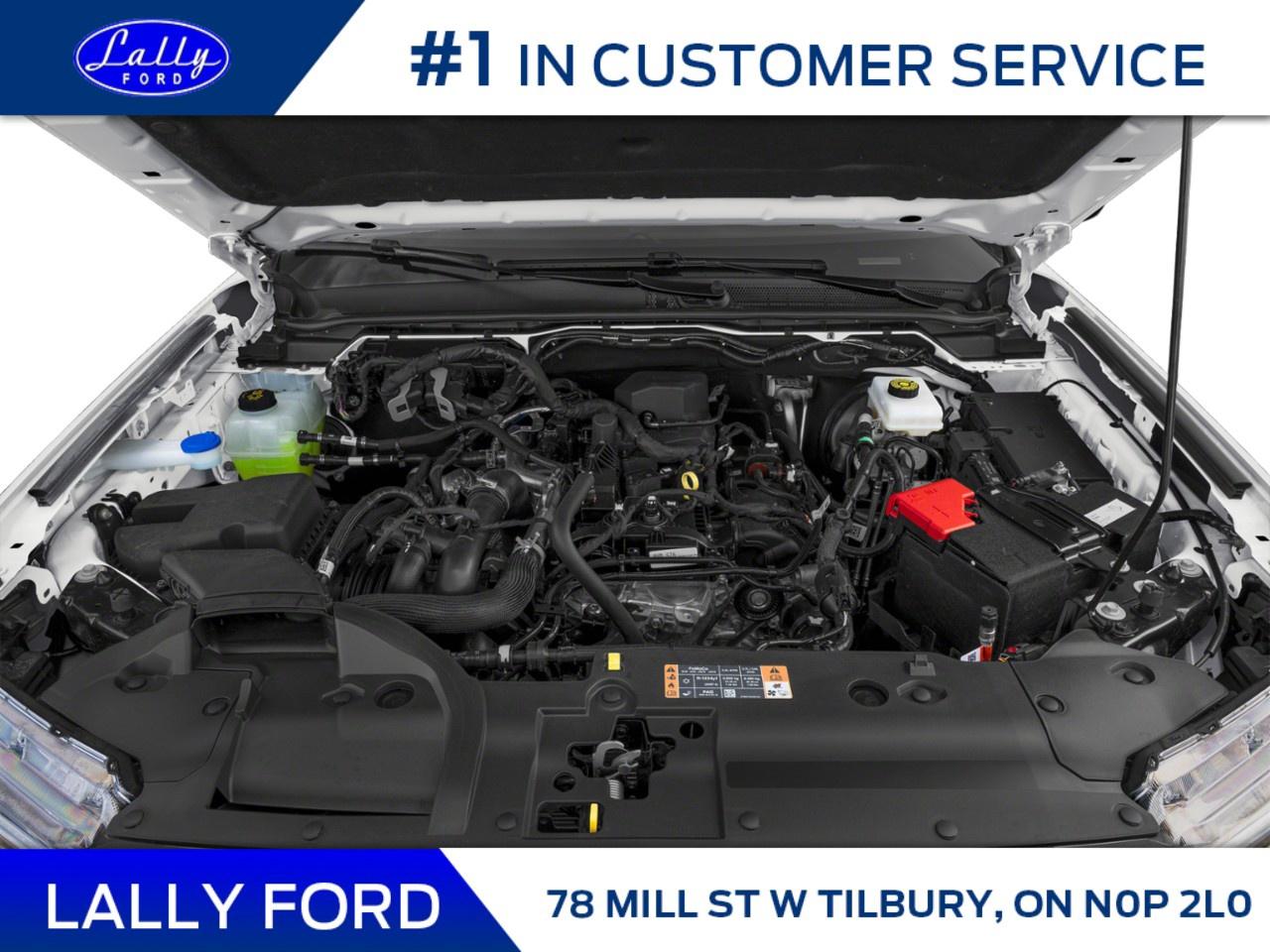 2026 Ford Ranger XLT 4WD SuperCrew 5' Box Photo