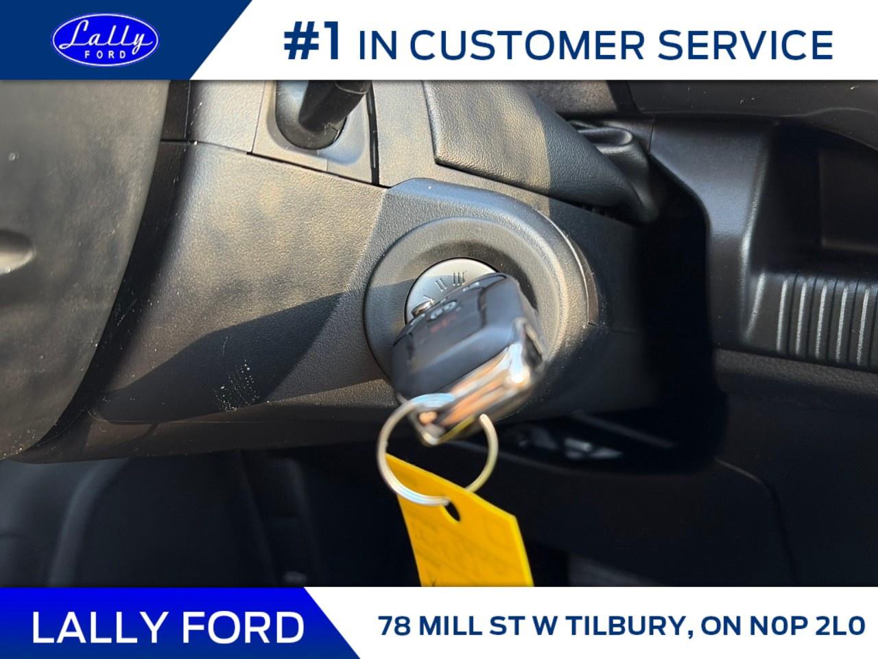 2026 Ford Ranger XLT 4WD SuperCrew 5' Box Photo