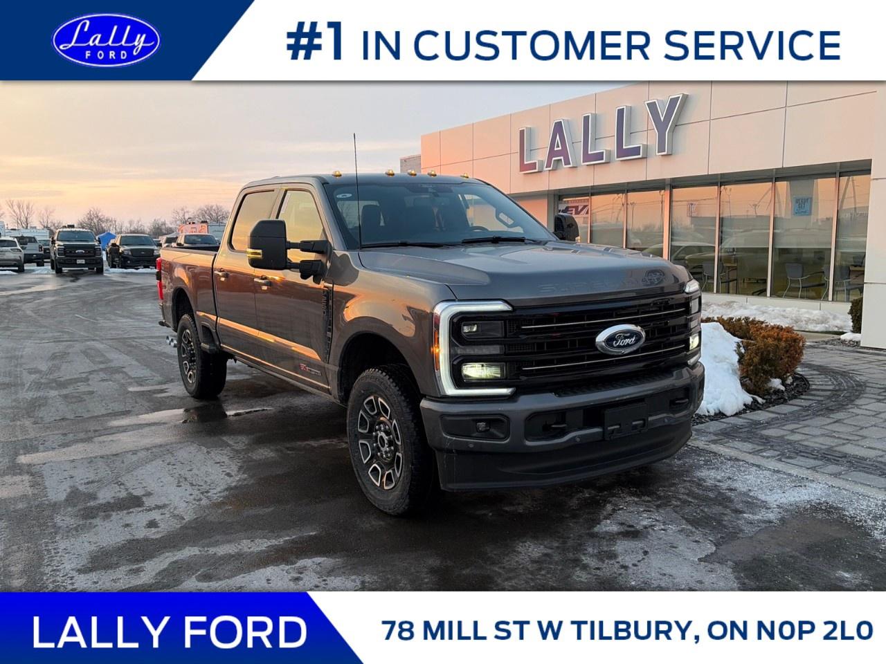 2026 Ford F-250 Super Duty SRW PLATINUM 4WD CREW CAB 6.75' BOX Photo0