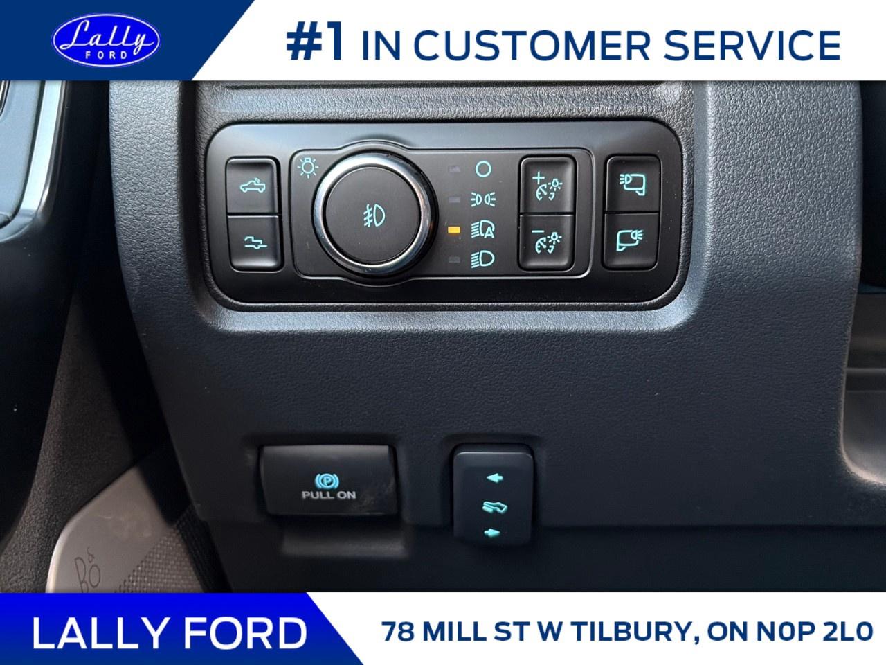 2026 Ford F-250 Super Duty SRW PLATINUM 4WD CREW CAB 6.75' BOX Photo