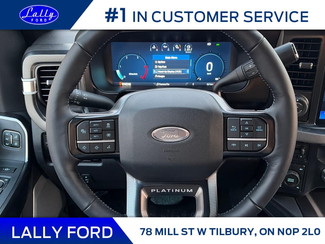 2026 Ford F-250 Super Duty SRW PLATINUM 4WD CREW CAB 6.75' BOX Photo