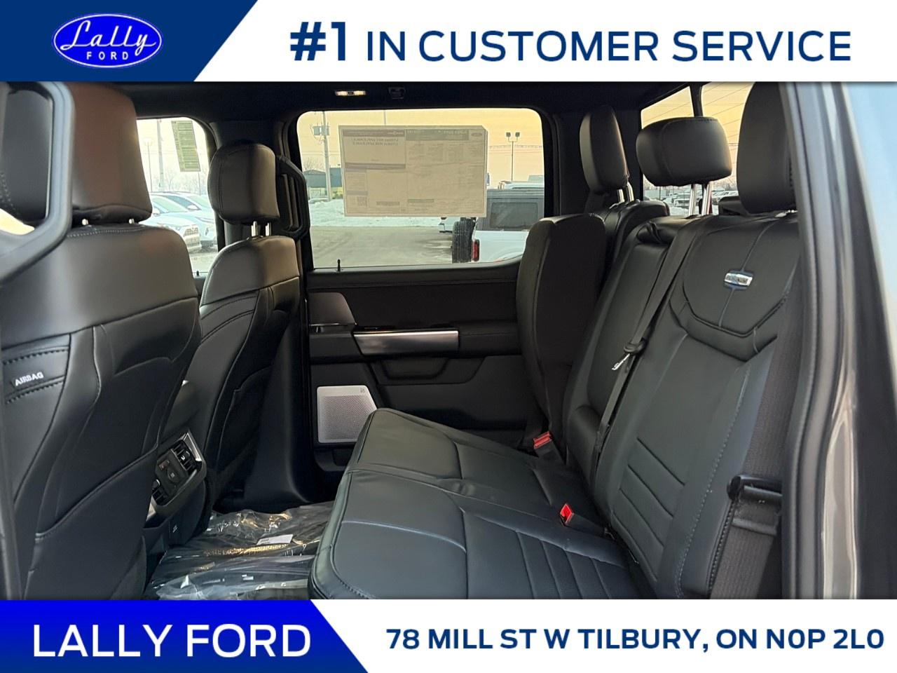 2026 Ford F-250 Super Duty SRW PLATINUM 4WD CREW CAB 6.75' BOX Photo