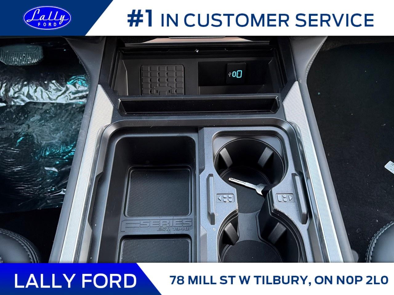 2026 Ford F-250 Super Duty SRW PLATINUM 4WD CREW CAB 6.75' BOX Photo