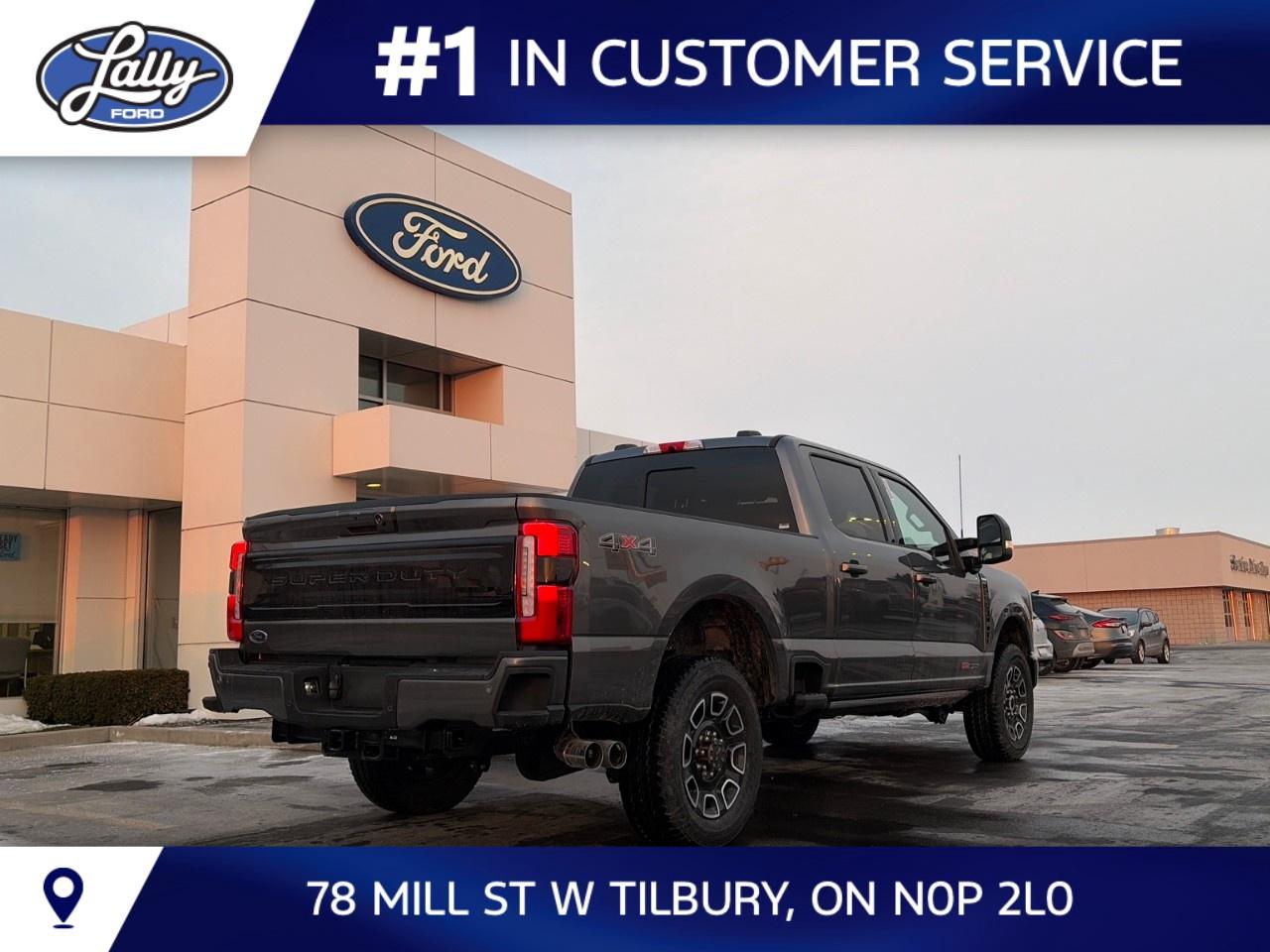 2026 Ford F-250 Super Duty SRW PLATINUM 4WD CREW CAB 6.75' BOX Photo