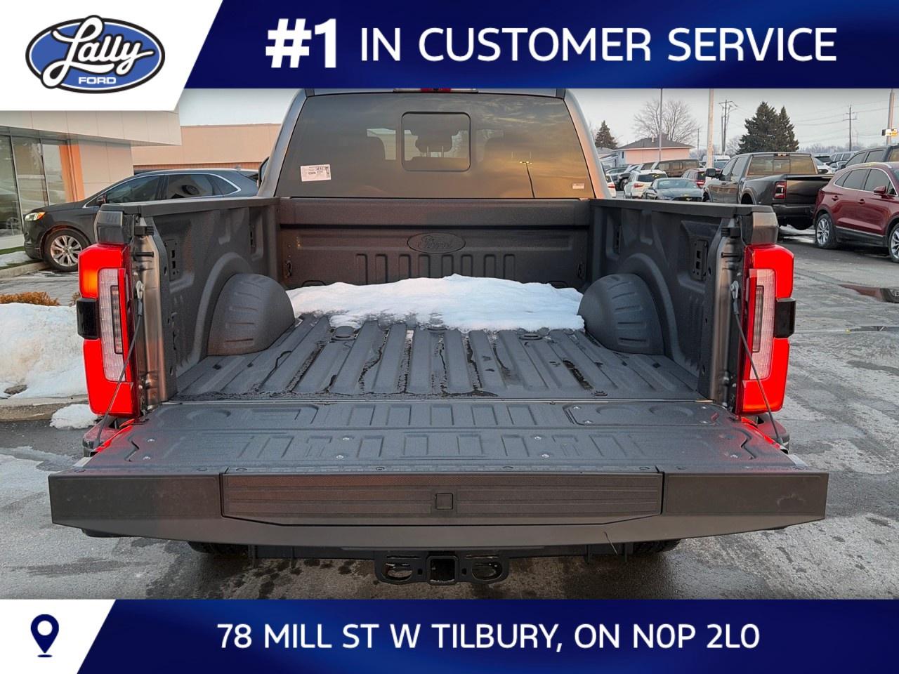 2026 Ford F-250 Super Duty SRW PLATINUM 4WD CREW CAB 6.75' BOX Photo
