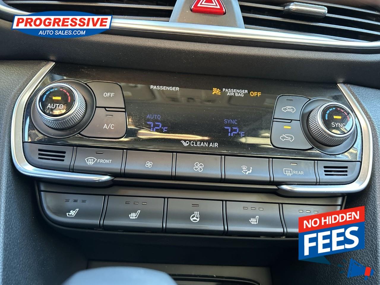 2020 Hyundai Santa Fe Luxury 2.0 Photo