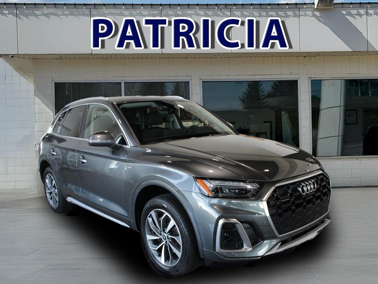 2023 Audi Q5 Technik Photo0