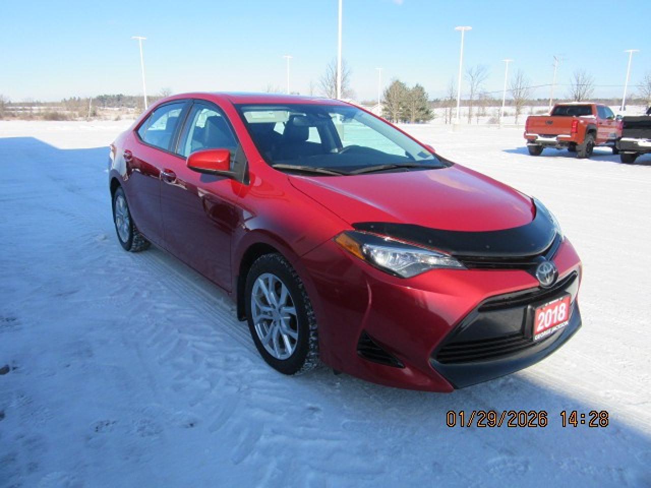 2018 Toyota Corolla XLE Photo