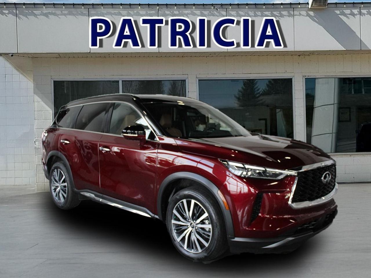 2023 Infiniti QX60 Autograph Photo0