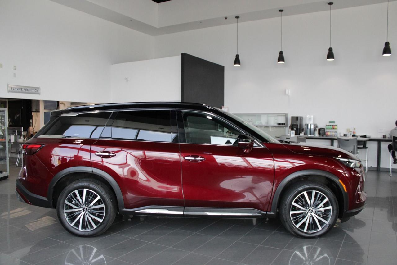 2023 Infiniti QX60 Autograph Photo1