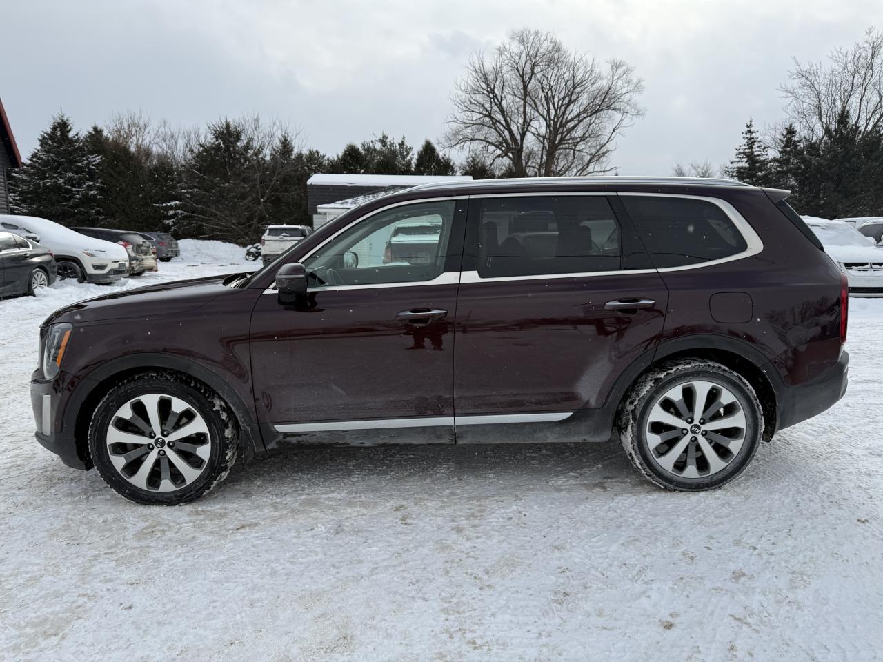 2020 Kia Telluride SX Photo