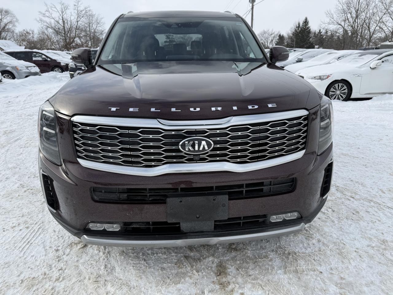 2020 Kia Telluride SX Photo