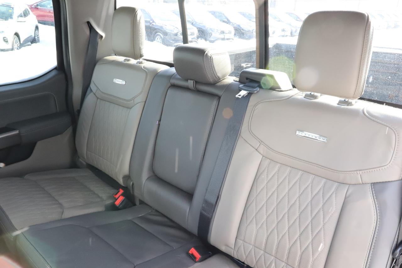 2024 Ford F-150 Platinum 4WD SuperCrew 5.5' Box Photo
