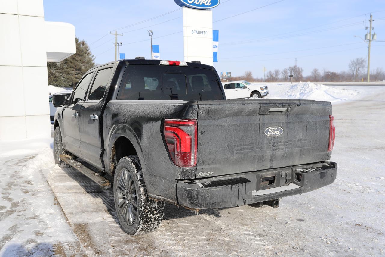 2024 Ford F-150 Platinum 4WD SuperCrew 5.5' Box Photo