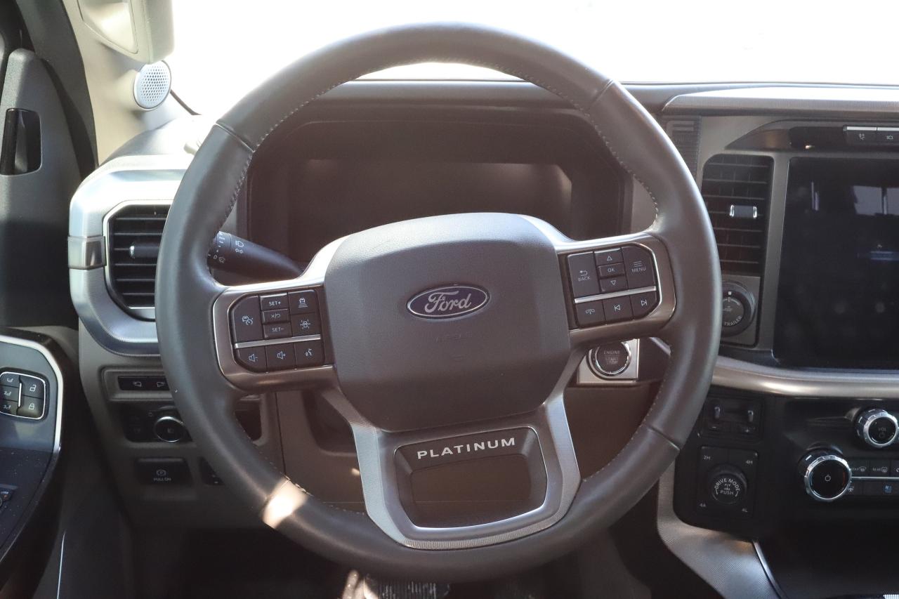 2024 Ford F-150 Platinum 4WD SuperCrew 5.5' Box Photo