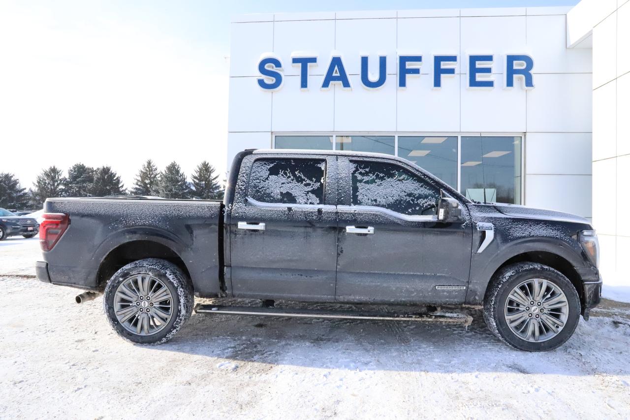 2024 Ford F-150 Platinum 4WD SuperCrew 5.5' Box Photo